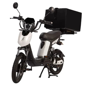 Cargo Electric Bike