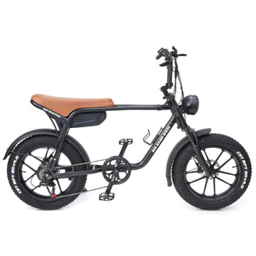 Fat Tyre Electric Bike