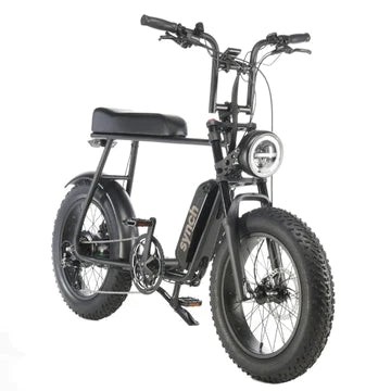 Fat Tyre Electric Bike